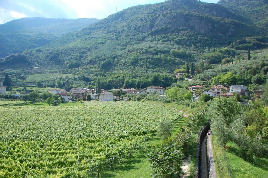 Via Verdi Una Casa Nel Verde 아르코 외부 사진